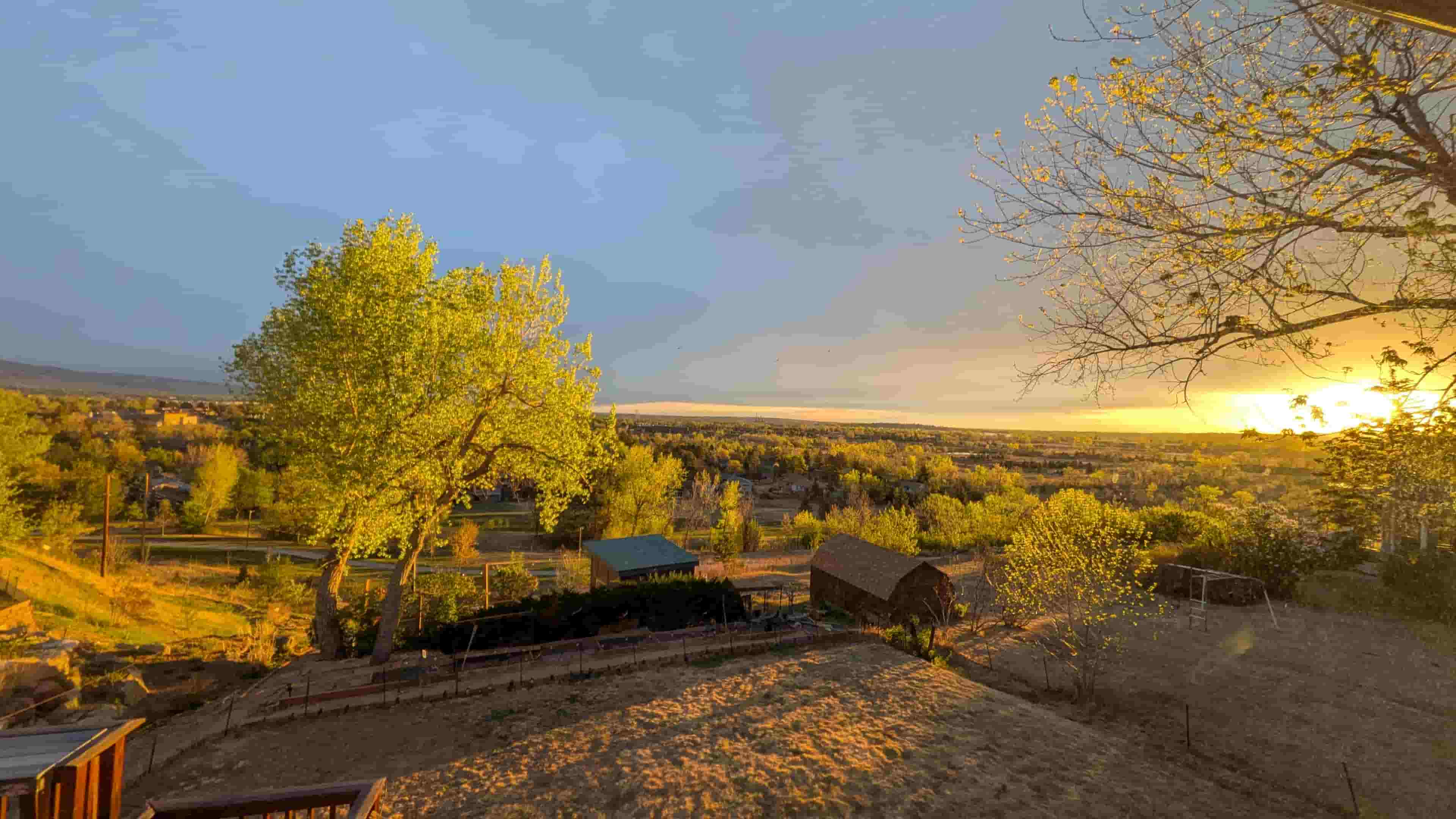 Boulder sunrise
